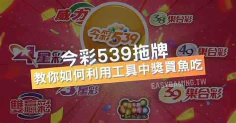 李瑞539分析|今彩539